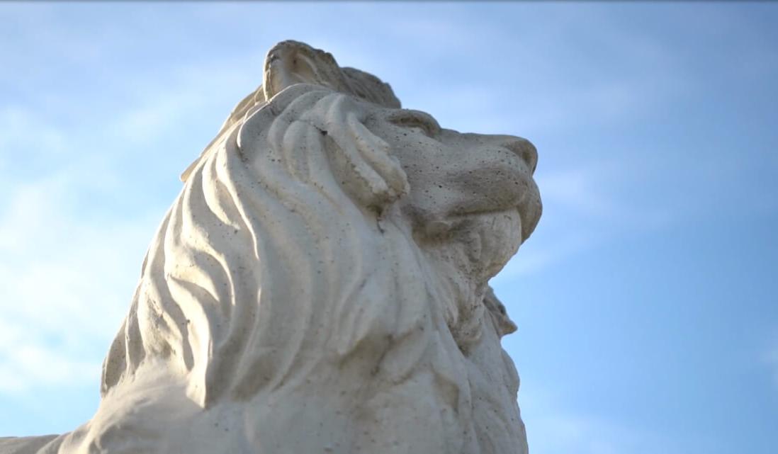 狮子雕像在蓝天下的鸟瞰图