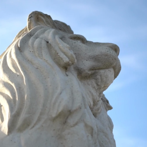 澳门威尼斯人网上赌场冬季花园狮子雕像